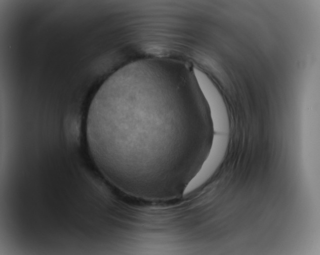 X0000089720404200707121434