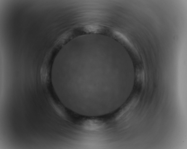 X0000089720408200707121434