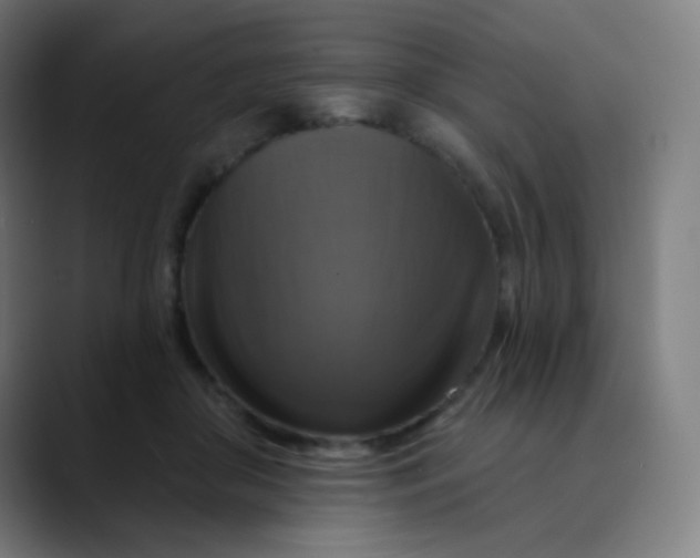 X0000089720410200707121434