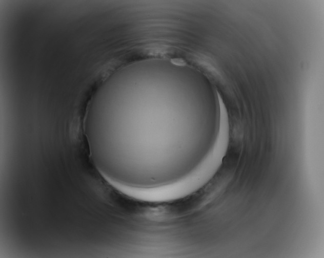 X0000089720411200707121434