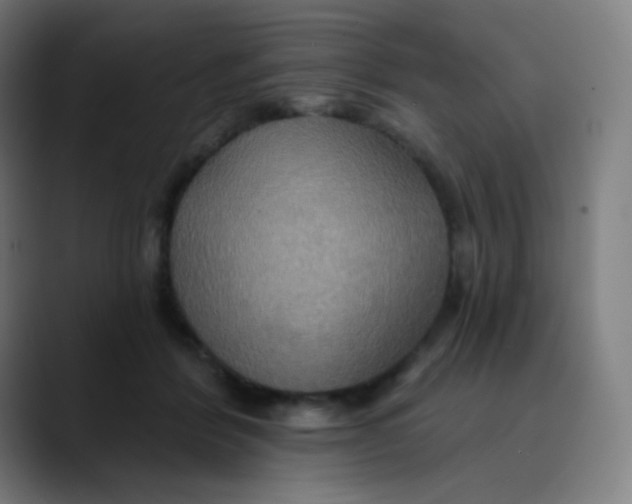 X0000089720412200707121434