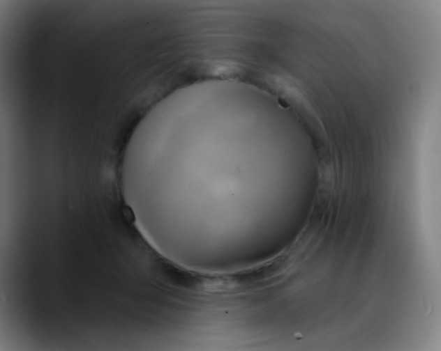 X0000089720415200707121434