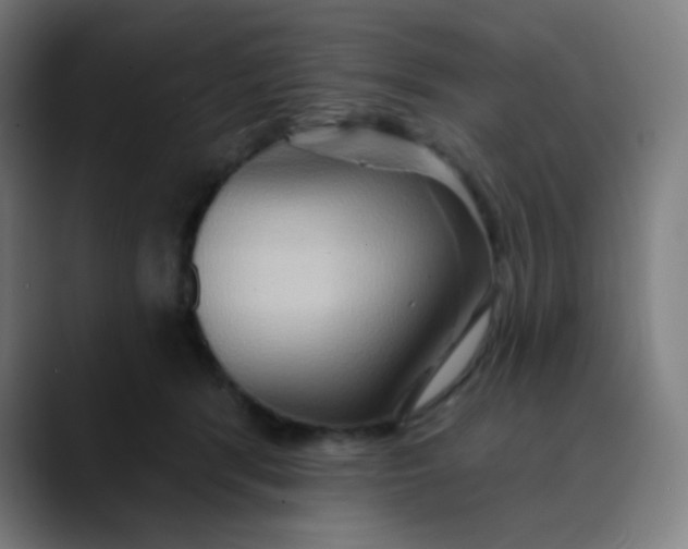 X0000089720416200707121434