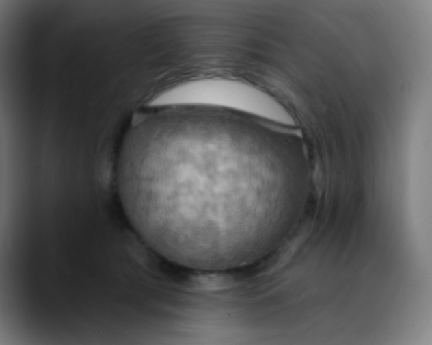 X0000089720417200707121434