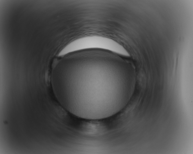 X0000089720420200707121434