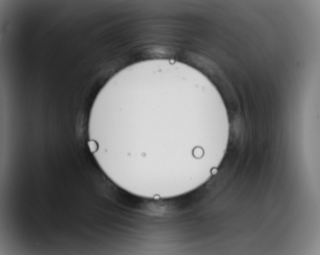 X0000089720423200707121434