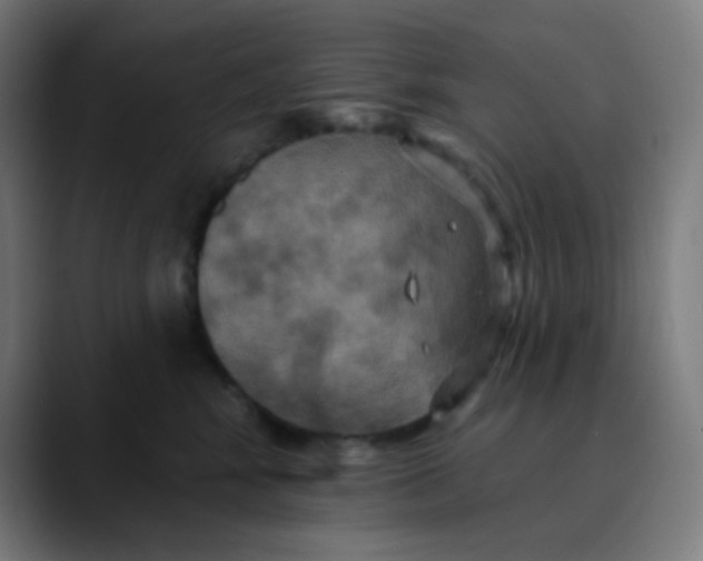 X0000089720424200707121434