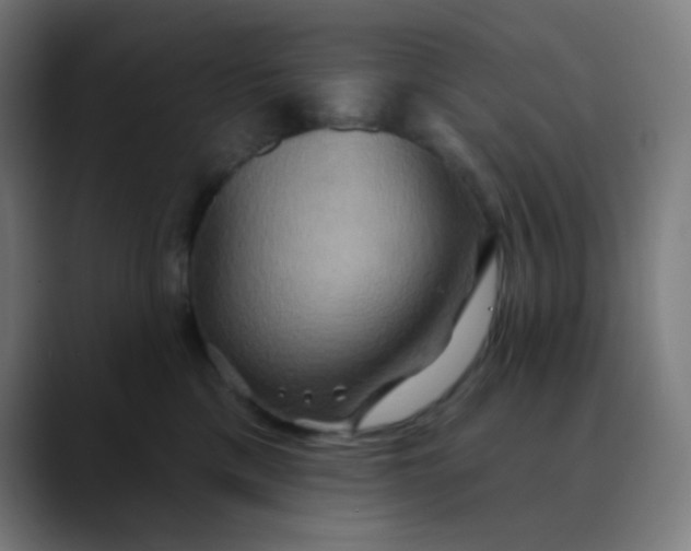 X0000089720425200707121434