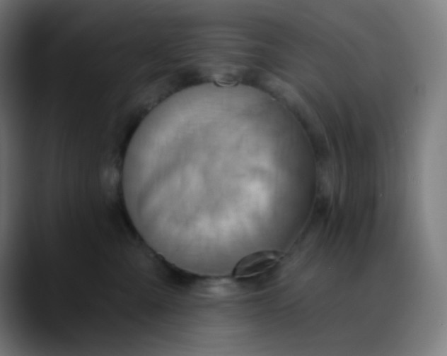 X0000089720427200707121434