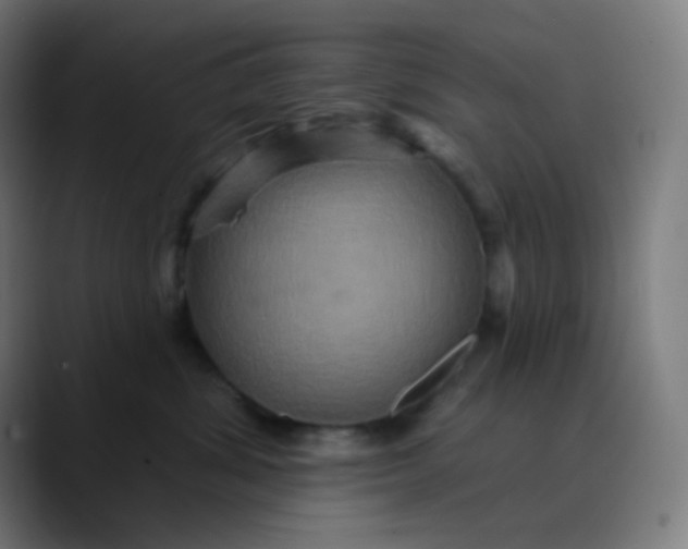 X0000089720428200707121434