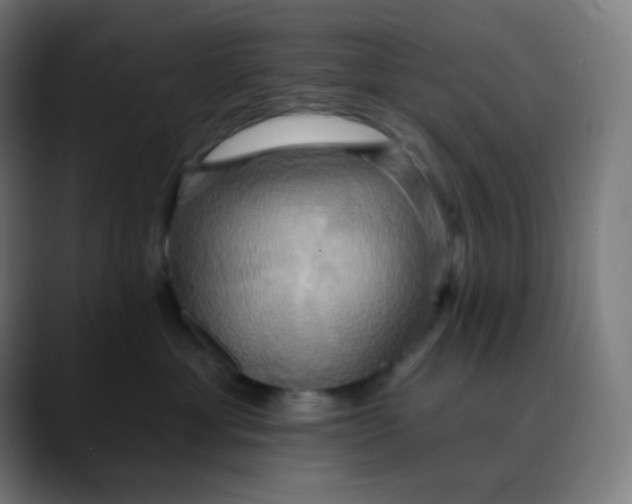 X0000089720429200707121434