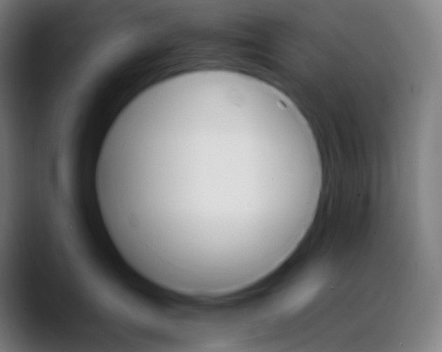 X0000089720431200707121434