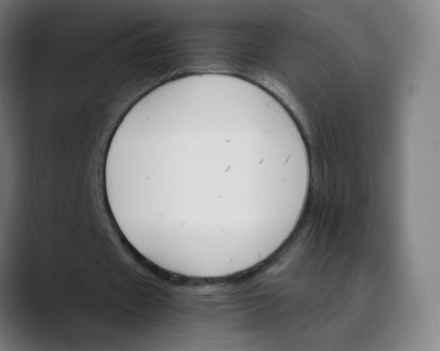 X0000089720433200707121434