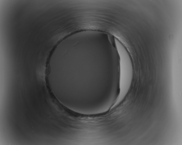 X0000089720434200707121434