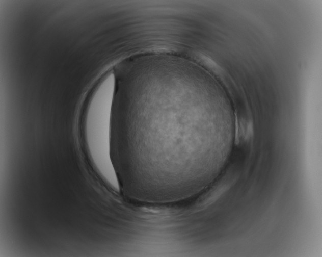 X0000089720435200707121434