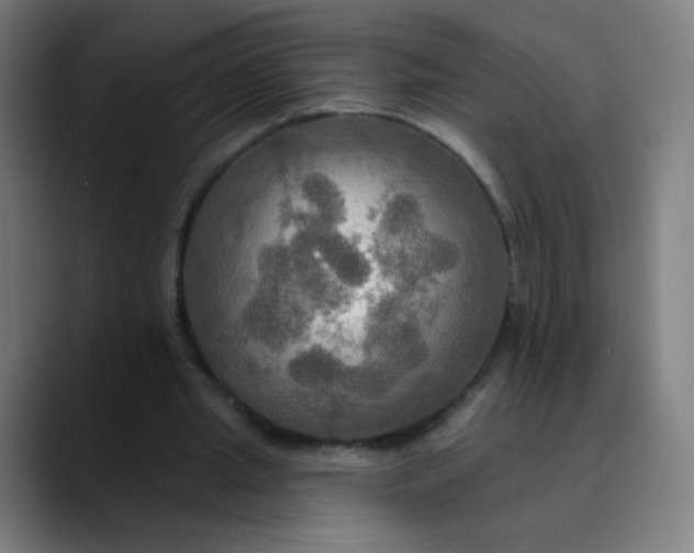 X0000089720437200707121434