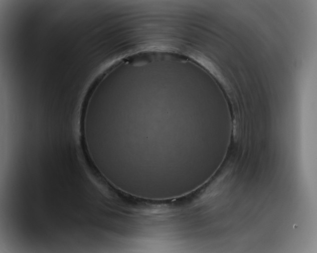 X0000089720438200707121434