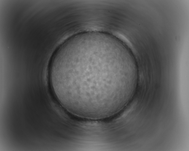 X0000089720439200707121434