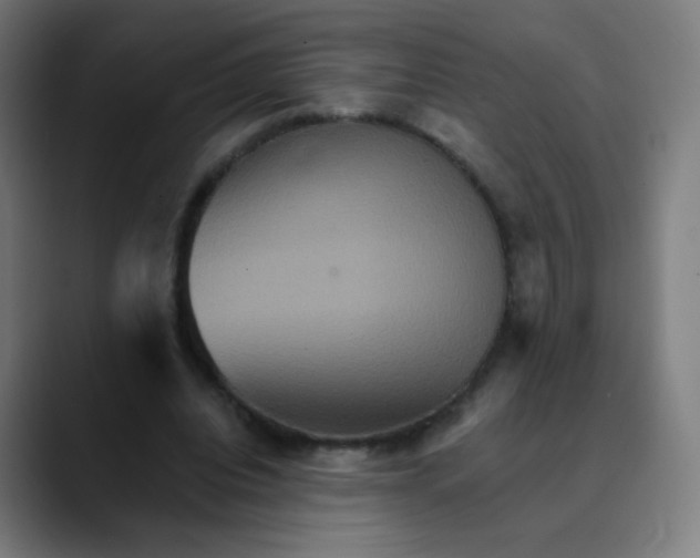 X0000089720440200707121434