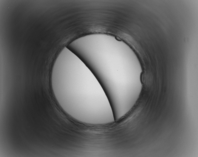 X0000089720441200707121434