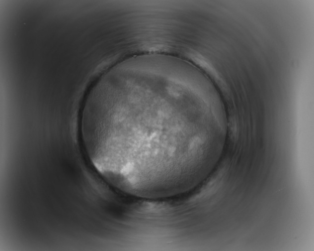 X0000089720442200707121434