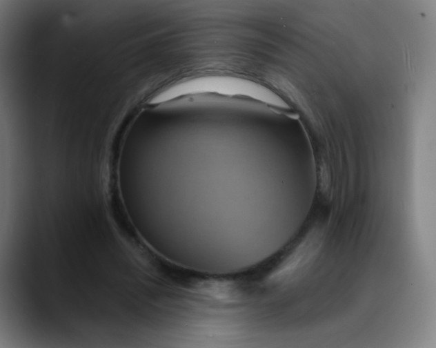 X0000089720444200707121434