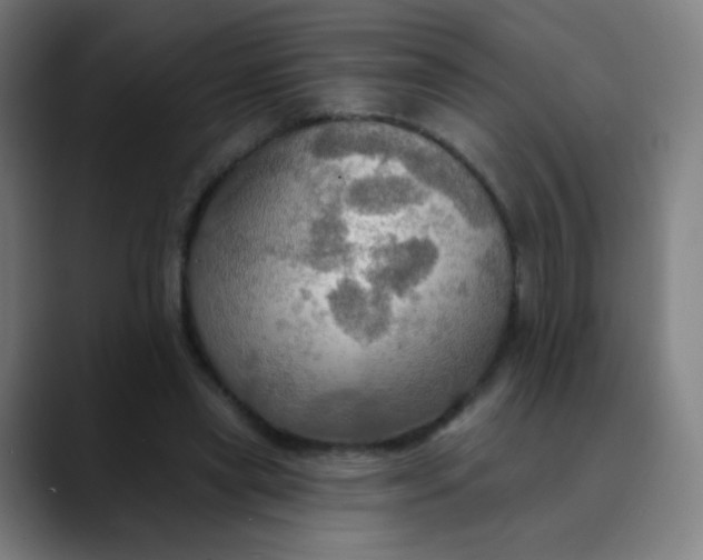 X0000089720445200707121434