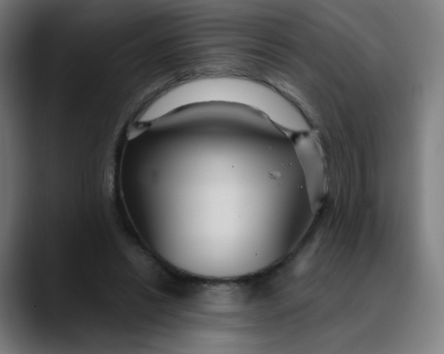 X0000089720446200707121434