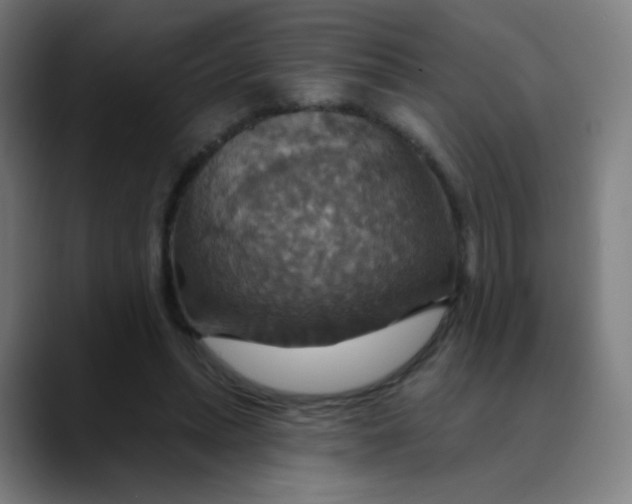 X0000089720447200707121434