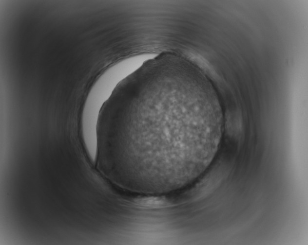 X0000089720449200707121434