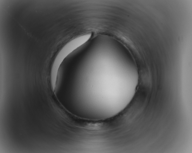 X0000089720450200707121434