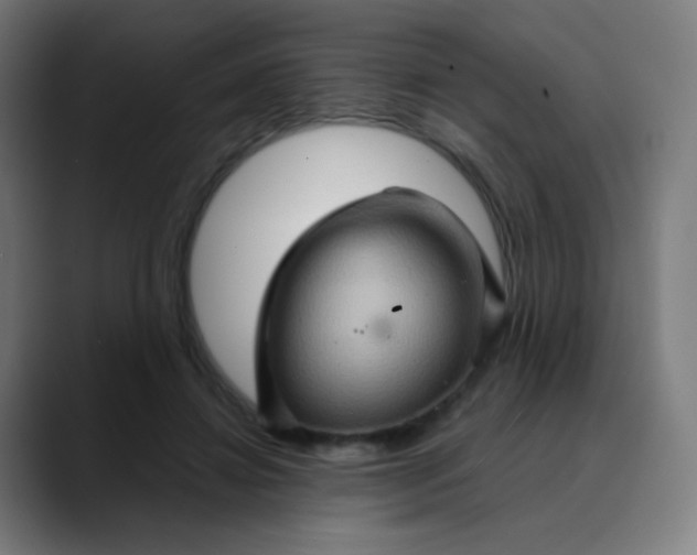 X0000089720452200707121434