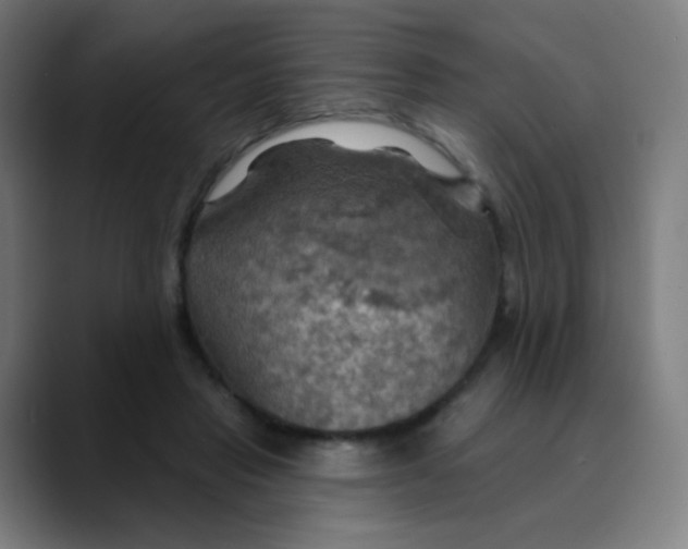 X0000089720453200707121434