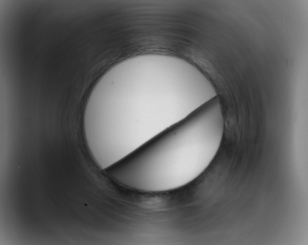 X0000089720454200707121434