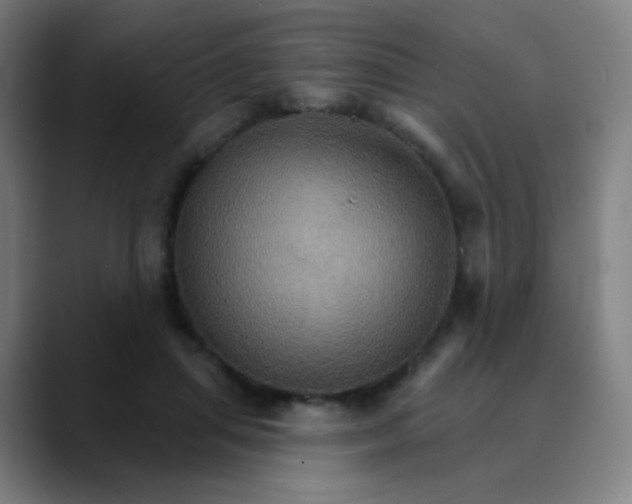 X0000089720455200707121434