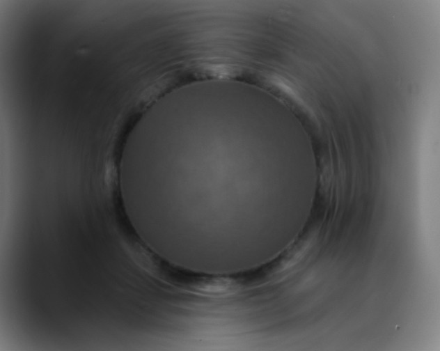 X0000089720459200707121434