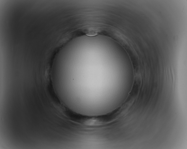 X0000089720460200707121434