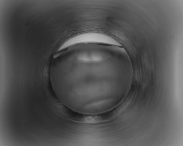 X0000089720461200707121434