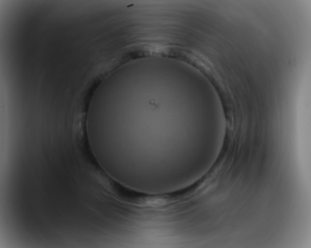 X0000089720462200707121434