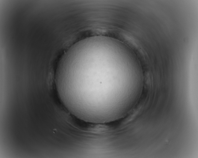 X0000089720463200707121434