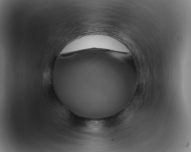 X0000089720465200707121434