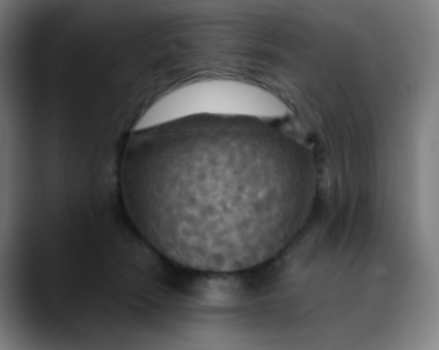 X0000089720466200707121434