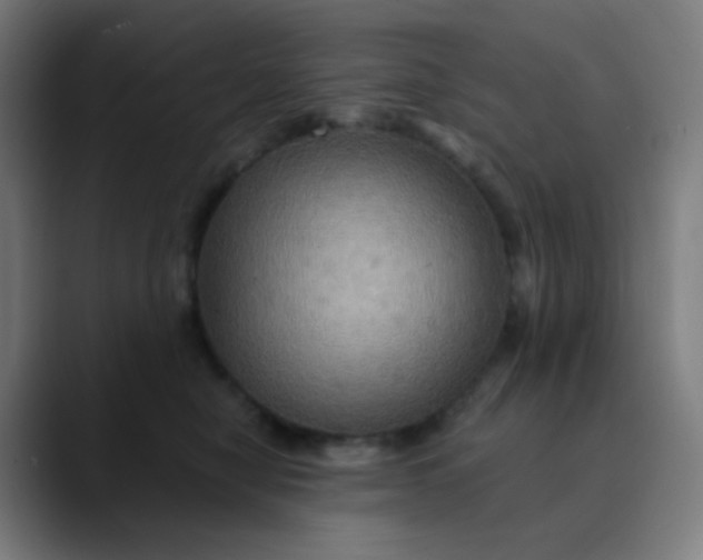 X0000089720470200707121434