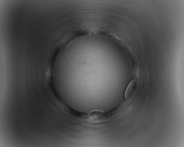 X0000089720472200707121434