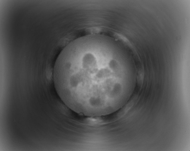 X0000089720477200707121434