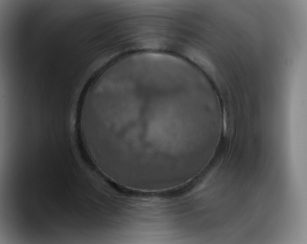 X0000089720483200707121433