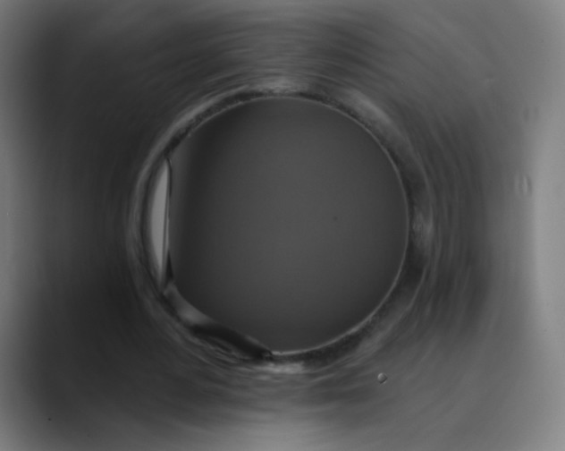 X0000089720484200707121433