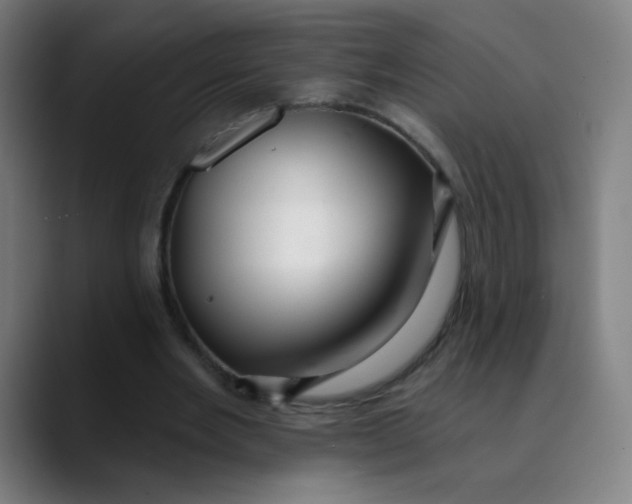 X0000089720485200707121433