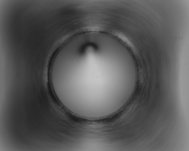 X0000089720486200707121433