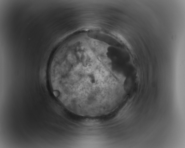 X0000089720487200707121433